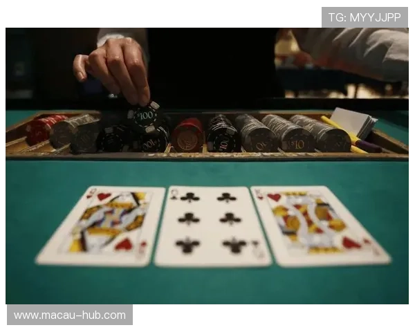 澳门六块赌牌持有者的责任与风险控制措施全面解析