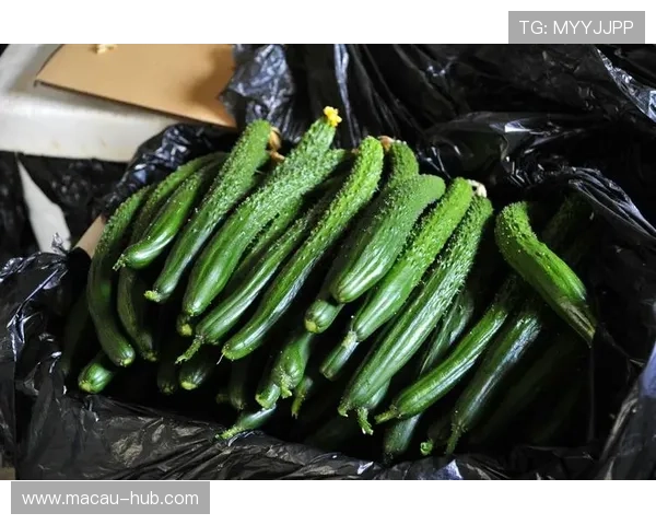 永乐高国际娱乐热门游戏排行榜推荐满足不同玩家的多样化娱乐需求 永乐高国际娱乐热门游戏排行榜推荐满足不同玩家的多样化娱乐需求